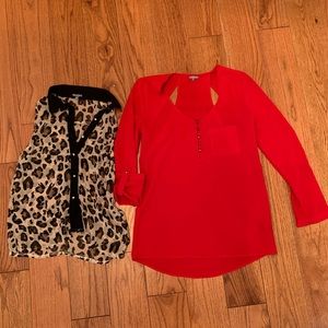 Cheetah and red blouse